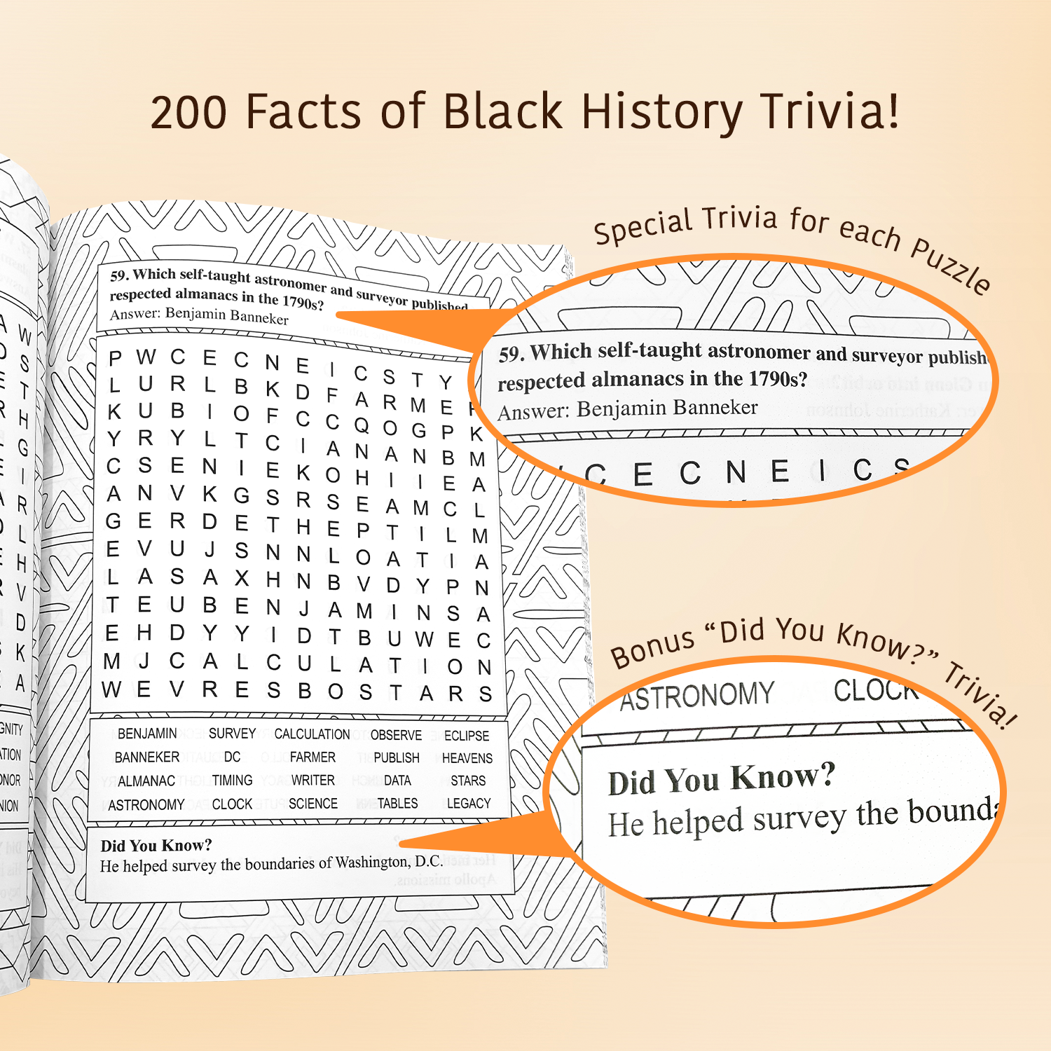 Black Heritage Word Search Book